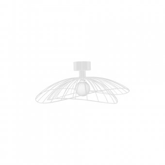 Globen Lighting Plafond/Vägglampa Ray Vit