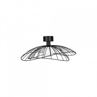 Globen Lighting Plafond / Vägglampa Ray Matt Svart