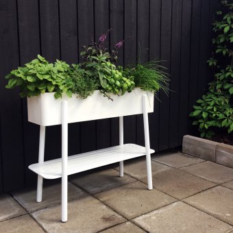 SMD Design Prunella Blombord