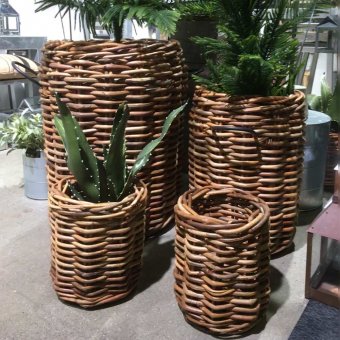 Krukor i flätad rotting, set med 4st