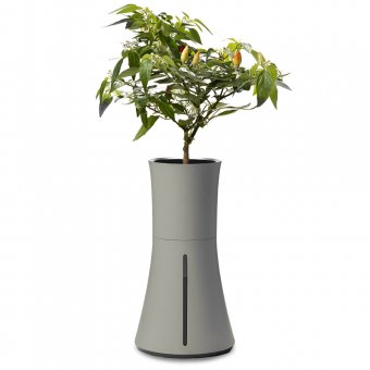 Botanium Kruka för Odling Utan Jord Grå