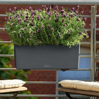 Lechuza Balconera Color 50 Balkonglåda Flera Färger