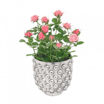 Munka Sweden CHRISTIAN, större kruka i tenn i kulmotiv