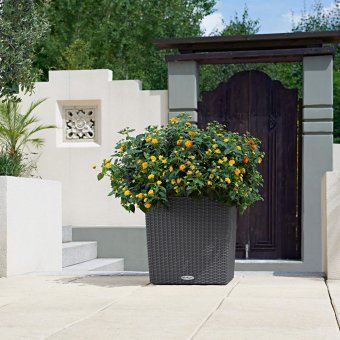 Lechuza Cube Cottage 40, självbevattningskruka