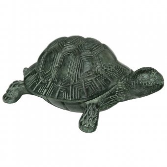 Mr Fredrik Sköldpadda som fontän