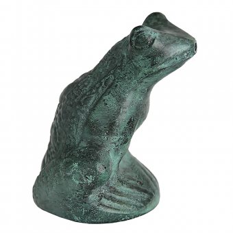 Mr Fredrik Fontängroda sittande rakt upp med skrovlig rygg