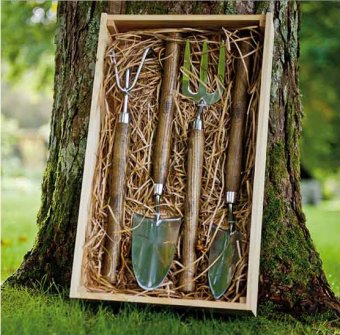 Rostfria handverktyg i Presentbox