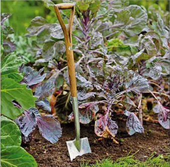 Spade, grep eller kantskärare