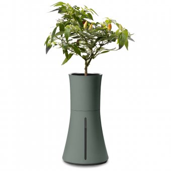 Botanium Kruka för Odling Utan Jord Grön