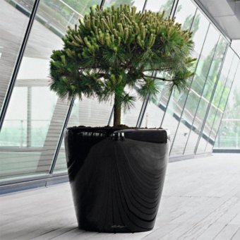 Lechuza Classico 60 Självbevattningskruka