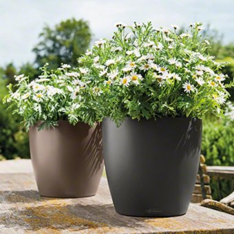 Lechuza Classico Color 28 Självbevattningskruka