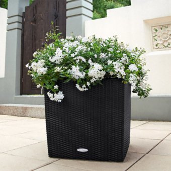 Lechuza Cube Cottage 50 Självbevattningskruka