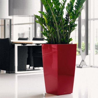 Lechuza Cubico 40 Premium Självbevattningskruka