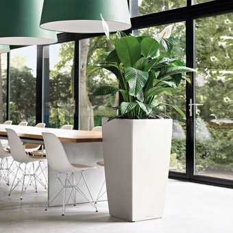 Lechuza Cubico 50 Premium Självbevattningskruka