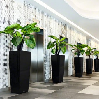 Lechuza Cubico Alto 40 Premium Självbevattningskruka