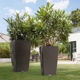 Lechuza Cubico Cottage 30, självbevattningskruka