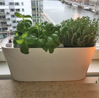 Lechuza Delta 20 Självbevattningskruka