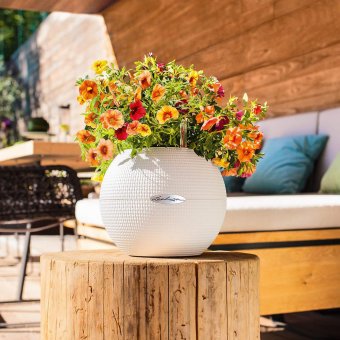 Lechuza Puro Color 20 Vit