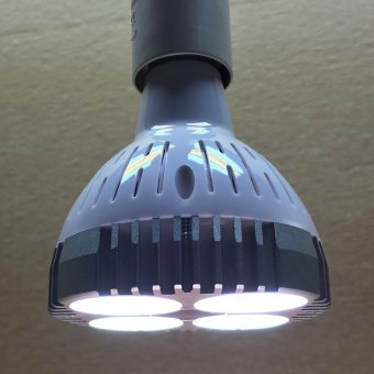 Easygrow 30W Övervintringslampa 60°