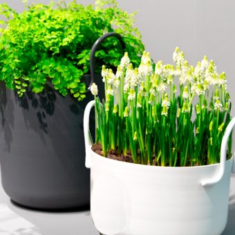 SMD Design Tivoli 30 blomkruka