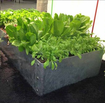 SMD Design Jorda planteringsram