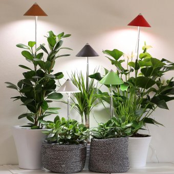 Sunlite växtlampa med teleskopstativ