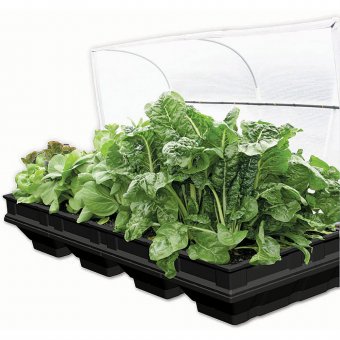 Vegepod odlingsbänk, stor