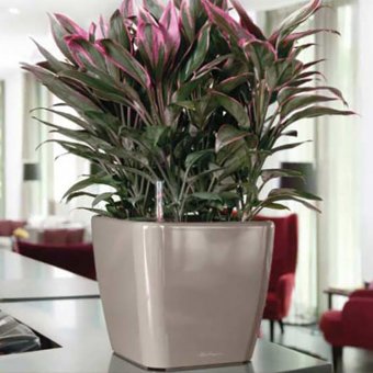 Lechuza Quadro 28 Premium Självbevattningskruka